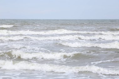 Kıyı manzarası, kum ve baltık denizi. Fotoğraf bir sonbahar gününde çekildi..