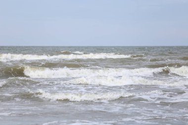 Kıyı manzarası, kum ve baltık denizi. Fotoğraf bir sonbahar gününde çekildi..