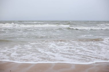 Baltık Denizi kıyısında Baltık Denizi manzarası. Fotoğraf fırtınalı havada çekildi, gökyüzü bulutlu..