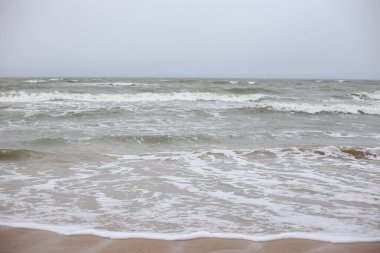 Baltık Denizi kıyısında Baltık Denizi manzarası. Fotoğraf fırtınalı havada çekildi, gökyüzü bulutlu..