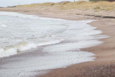 Deniz kenarındaki kayalıklı kumun dokulu görüntüsünü kapat. Fotoğraf Baltık Denizi yakınlarında çekildi.