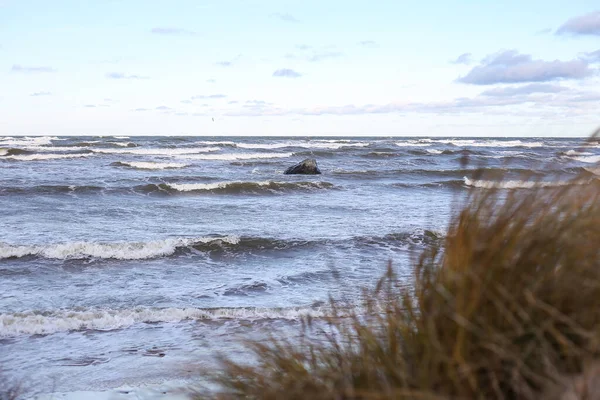 Mar Báltico Vista Costera Con Pastos Marinos Frente Olas Fondo — Foto de Stock