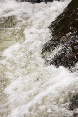 Şelale akışının detaylarını kapatın. Beyaz kabarcıklar küçük kırsal nehir. Fotoğraf, sıcak bir sonbahar gününde çekildi..
