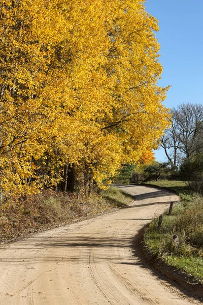 Beautiful Curvy Countryside Gravel Road Autumn Trees Sides Photo Taken — Fotografia de Stock