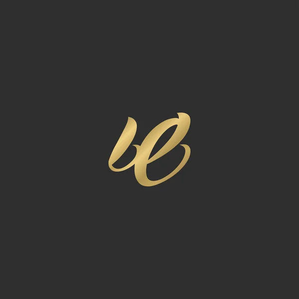 Nosotros Diseño Abstracto Inicial Del Logotipo Del Alfabeto Letra Del — Archivo Imágenes Vectoriales