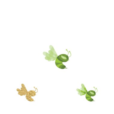 Bal arısı logo böcek tasarım şablonu