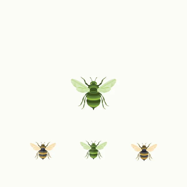 Πρότυπο Σχεδιασμού Εντόμων Λογότυπο Μέλισσας — Διανυσματικό Αρχείο