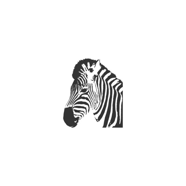 Zebra Logo Design Zebra Head Logo White Background — Stock Vector