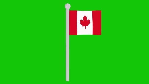 Animation Drapeau Canada Déplaçant Sur Mât Drapeau Sur Fond Chromatique — Video