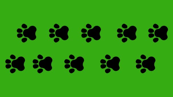 Animación Bucle Huellas Patas Animales Sobre Fondo Croma Verde — Vídeo de stock