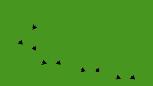 アヒルや鳥の足跡の黒いシルエットのループアニメーション 緑のクロマキーの背景に — ストック動画