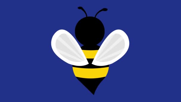 Loop Animation Bee Flapping Its Wings Blue Chroma Key Background — Stock Video