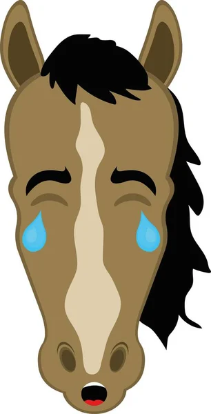 Vector Illustration Cartoon Horse Face Sad Expression Crying Tears His — Image vectorielle