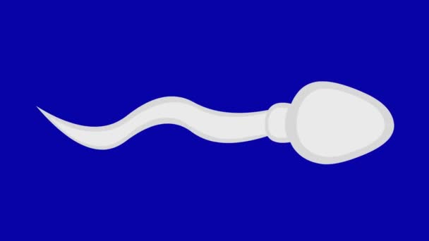 Animación Bucle Espermatozoide Movimiento Sobre Fondo Clave Croma Azul — Vídeos de Stock