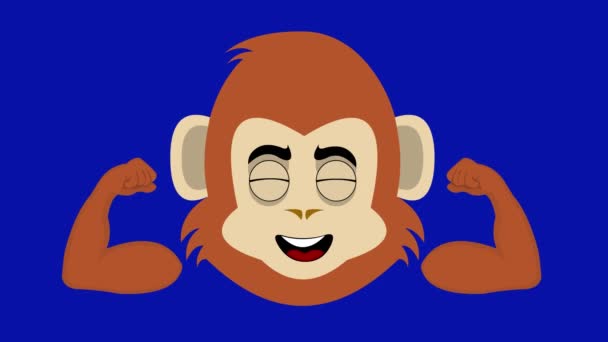 卡通猴子或大猩猩弯曲手臂和收缩二头肌的脸的环状动画 蓝色的关键背景 — 图库视频影像