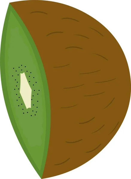 Ilustração Vetorial Metade Fruta Kiwi —  Vetores de Stock
