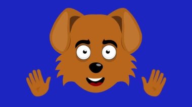 Loop animation of a cartoon dog's face waving with his hands, on a blue chroma key background