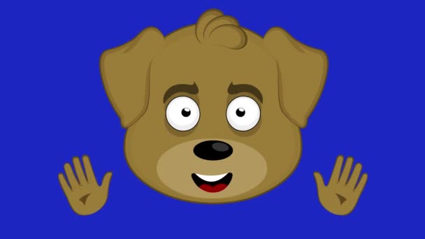 Loop Animation Cartoon Dog Face Waving His Hands Blue Chroma — Stockvideo