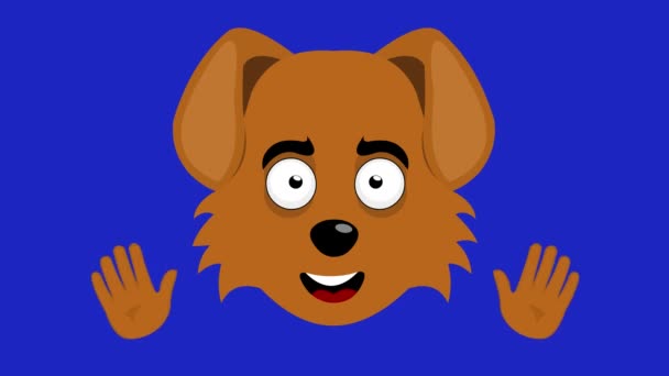 Loop Animation Cartoon Dog Face Waving His Hands Blue Chroma — Vídeo de Stock