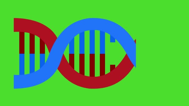 Animación Moléculas Adn Ácido Desoxirribonucleico Sobre Fondo Clave Croma Verde — Vídeo de stock