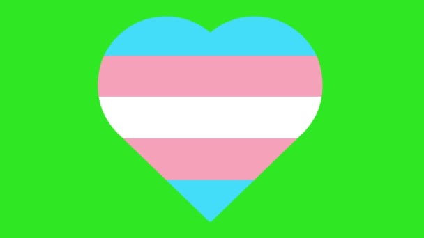 Animacja Serca Kolorami Flagi Transseksualnej Zielonym Tle Klucza Chroma — Wideo stockowe