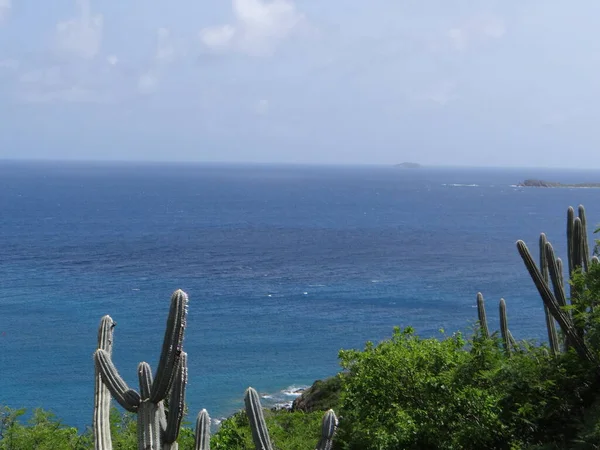 Belleza Las Islas Vírgenes Los Estados Unidos — Foto de Stock