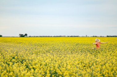 Çocuk canlı sarı kanola tarlasında oynuyor.