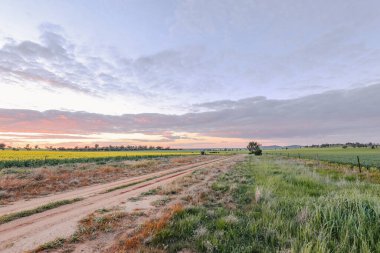 Avustralya 'da Victoria' da güneş köy yolunda batıyor. Avustralya 'da öğleden sonra. Peyzaj resmi,