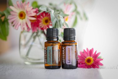 Mologa, Victoria Avustralya - 11 Ekim 2021: Doterra esaslı petrol oldukça taze çiçeklerle sergileniyor,