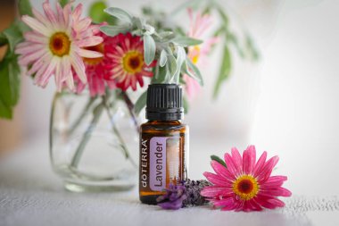 Mologa, Victoria Avustralya - 11 Ekim 2021: Doterra esaslı petrol oldukça taze çiçeklerle sergileniyor,