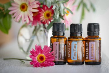 Mologa, Victoria Avustralya - 11 Ekim 2021: Doterra esaslı petrol oldukça taze çiçeklerle sergileniyor,