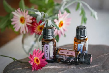 Mologa, Victoria Avustralya - 11 Ekim 2021: Doterra esaslı petrol oldukça taze çiçeklerle sergileniyor,