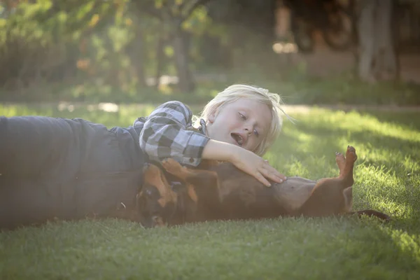 Young Blonde Boy Cuddling Dachshund Dog Lush Green Lawn — Stock Photo, Image