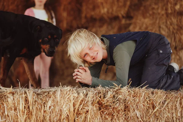Granja Niños Jugando Heno Pila Con Mascota Rottweiler Perro —  Fotos de Stock
