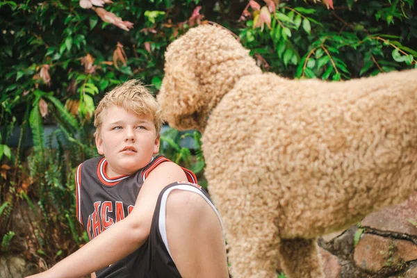 Pre Adolescente Chico Sentado Hierba Jugando Con Grande Feliz Perro —  Fotos de Stock