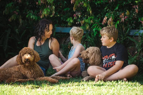 Madre Hijos Sentados Hierba Con Dos Perros Groodle —  Fotos de Stock