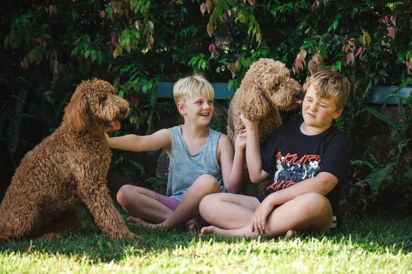 Niños Sentados Hierba Con Dos Perros Raza Golden Doodle —  Fotos de Stock