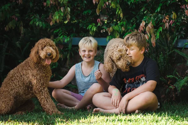 Niños Sentados Hierba Con Dos Perros Raza Golden Doodle —  Fotos de Stock