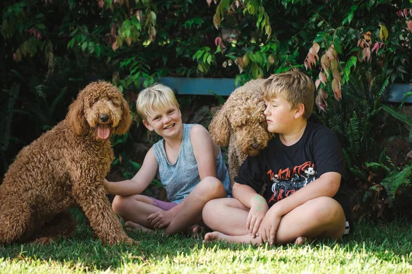 Niños Sentados Hierba Con Dos Perros Raza Golden Doodle —  Fotos de Stock