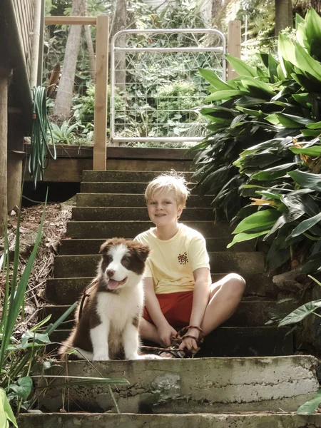 Niño Escaleras Lado Casa Con Lindo Borde Collie Cachorro —  Fotos de Stock