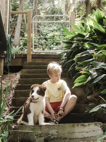 Niño Escaleras Lado Casa Con Lindo Borde Collie Cachorro —  Fotos de Stock