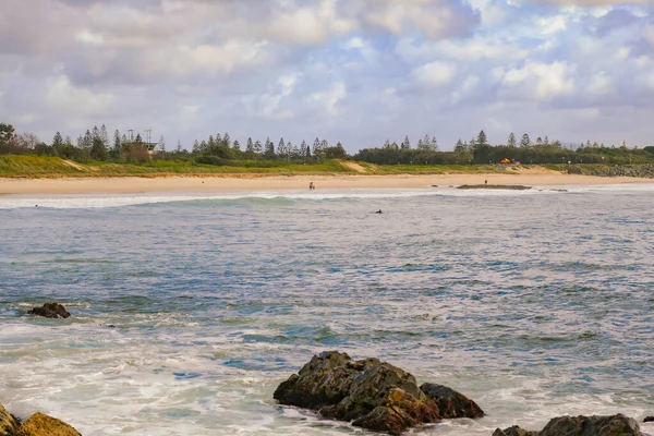 Dolfijnen Zwemmen Dichtbij Het Strand Bij Forster Nsw Australië — Stockfoto