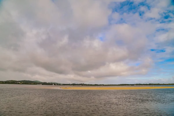 Group Pelicans Seagulls Sitting Exposed Sand Bar Forster Tuncurry Lakes — стокове фото