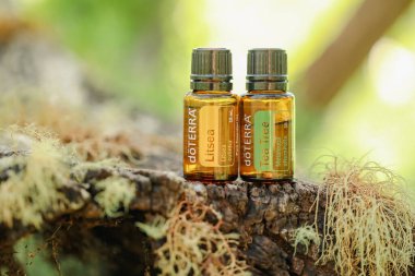 Firefly NSW Australia - 28 Nisan 2022: Ezoterra esaslı petrolün resimsel editör görüntüsü