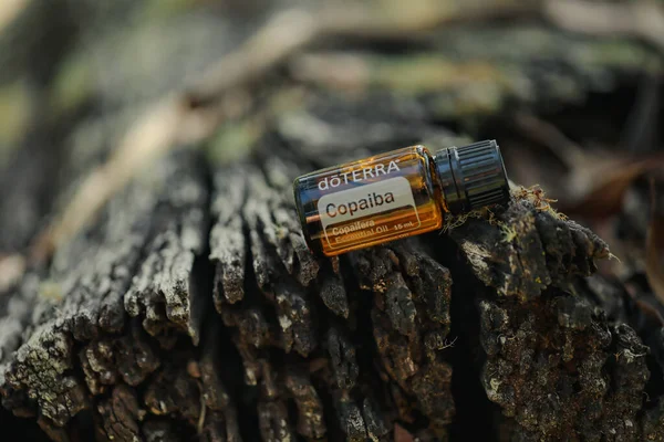 Firefly NSW Australia - 28 Nisan 2022: Ezoterra esaslı petrolün resimsel editör görüntüsü