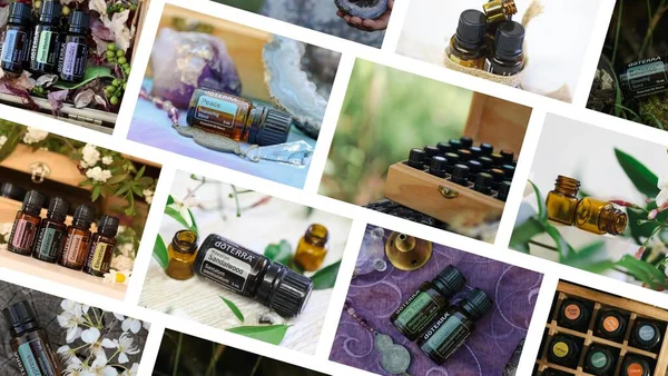 Firefly Nsw Australia April 2022 Essential Oils Collage Graphic Featuring — 스톡 사진