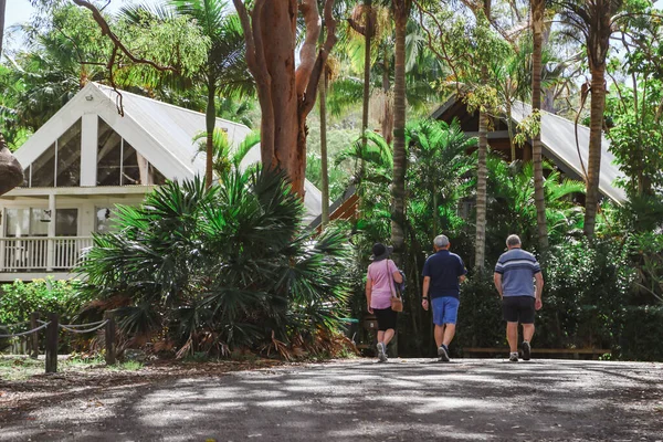 Smith 's Lake, New South Wales Avustralya' daki parkta yürüyen bir grup yaşlı insan.