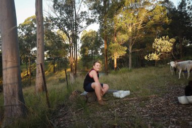 Beyaz çocuk otlakta Dorper sürüsüyle birlikte çiftlikte oturuyor.