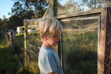 10 yaşında sarışın bir çocuk çiftlikte tavuk kümesinin yanında dikilip aşağıya bakıyor.