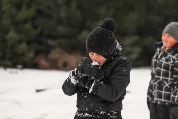 Счастливые Мальчики Играют Снежной Зимней Стране Чудес — стоковое фото